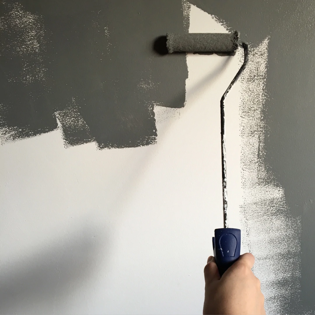 Peinture dvsols 54300 Luneville